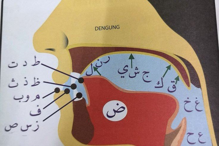 Arabic Pronunciation Course